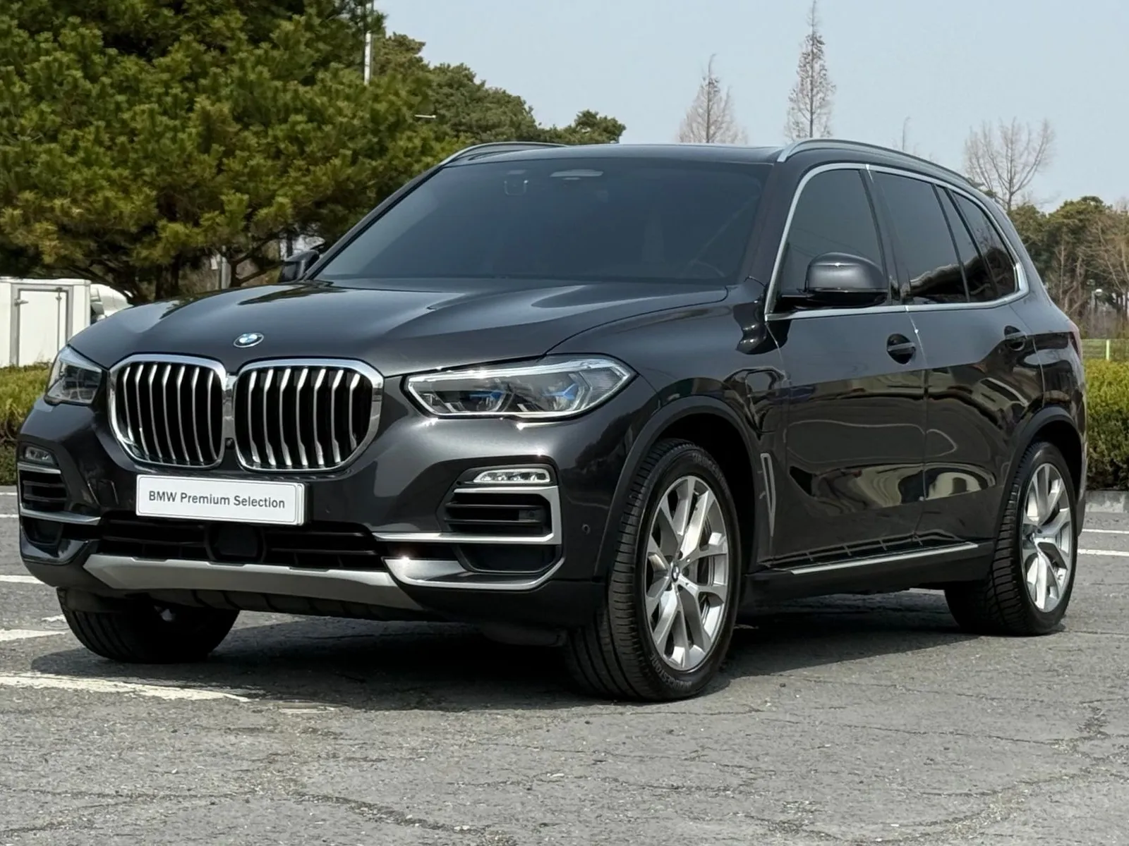 BMW X5 xDrive 45e xLine, снимка 1 от 20