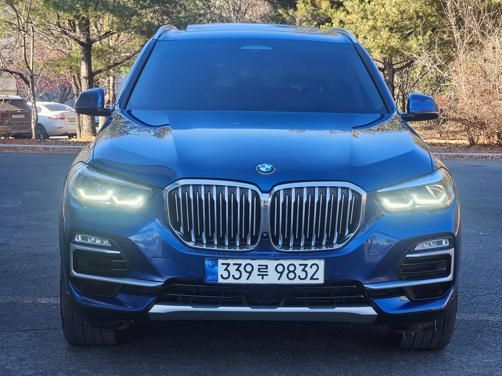 BMW X5 xDrive 40i xLine, снимка 1 от 20