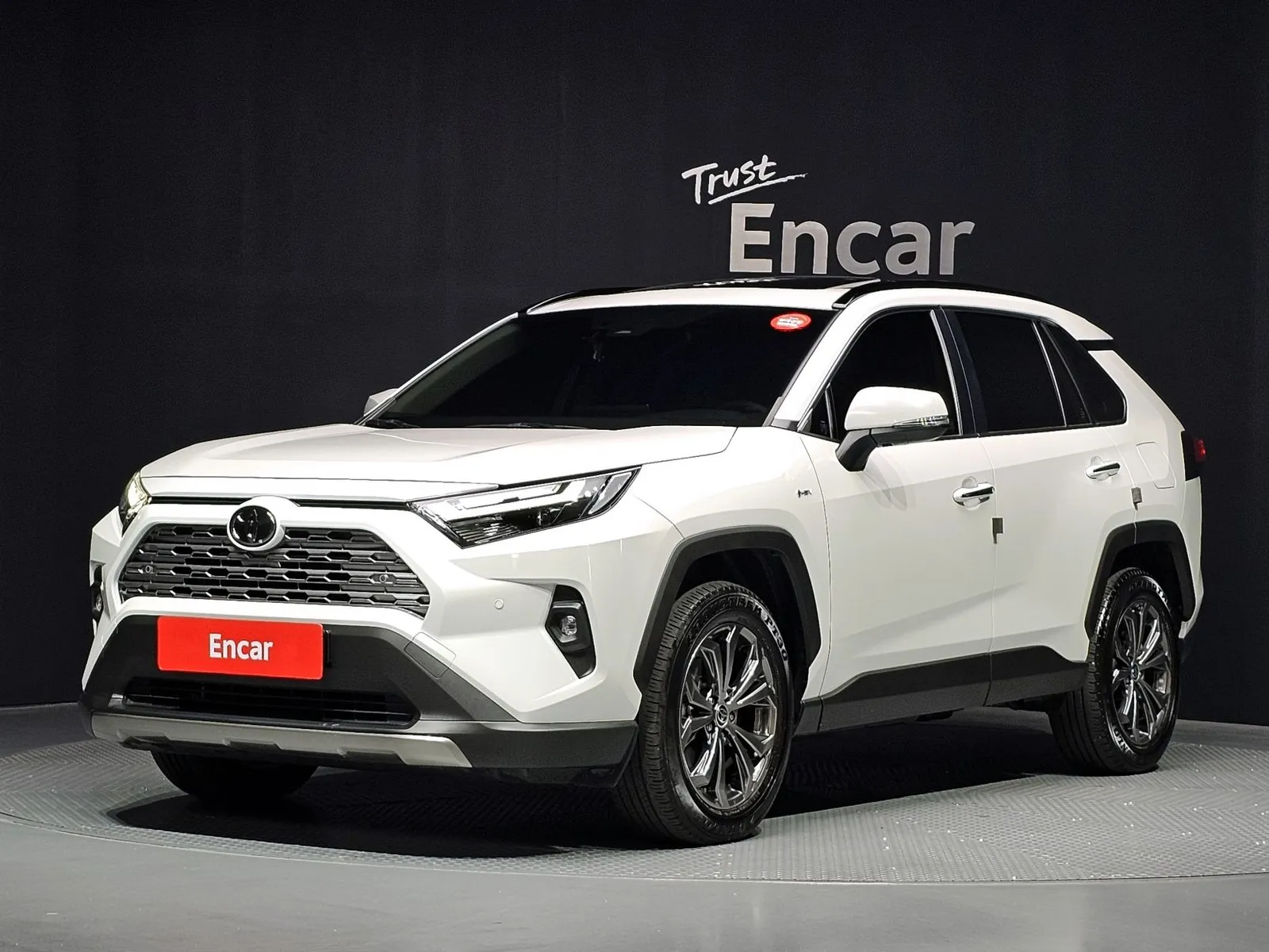 Toyota RAV4 2,5 4WD Hybrid LTD, снимка 1 от 20